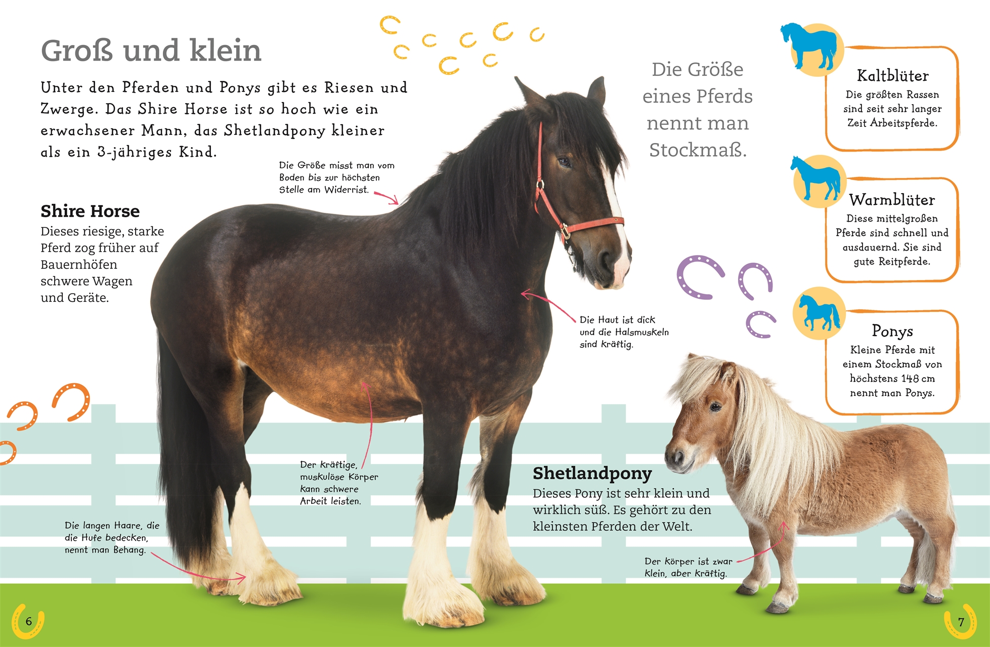 Pferde und Ponys