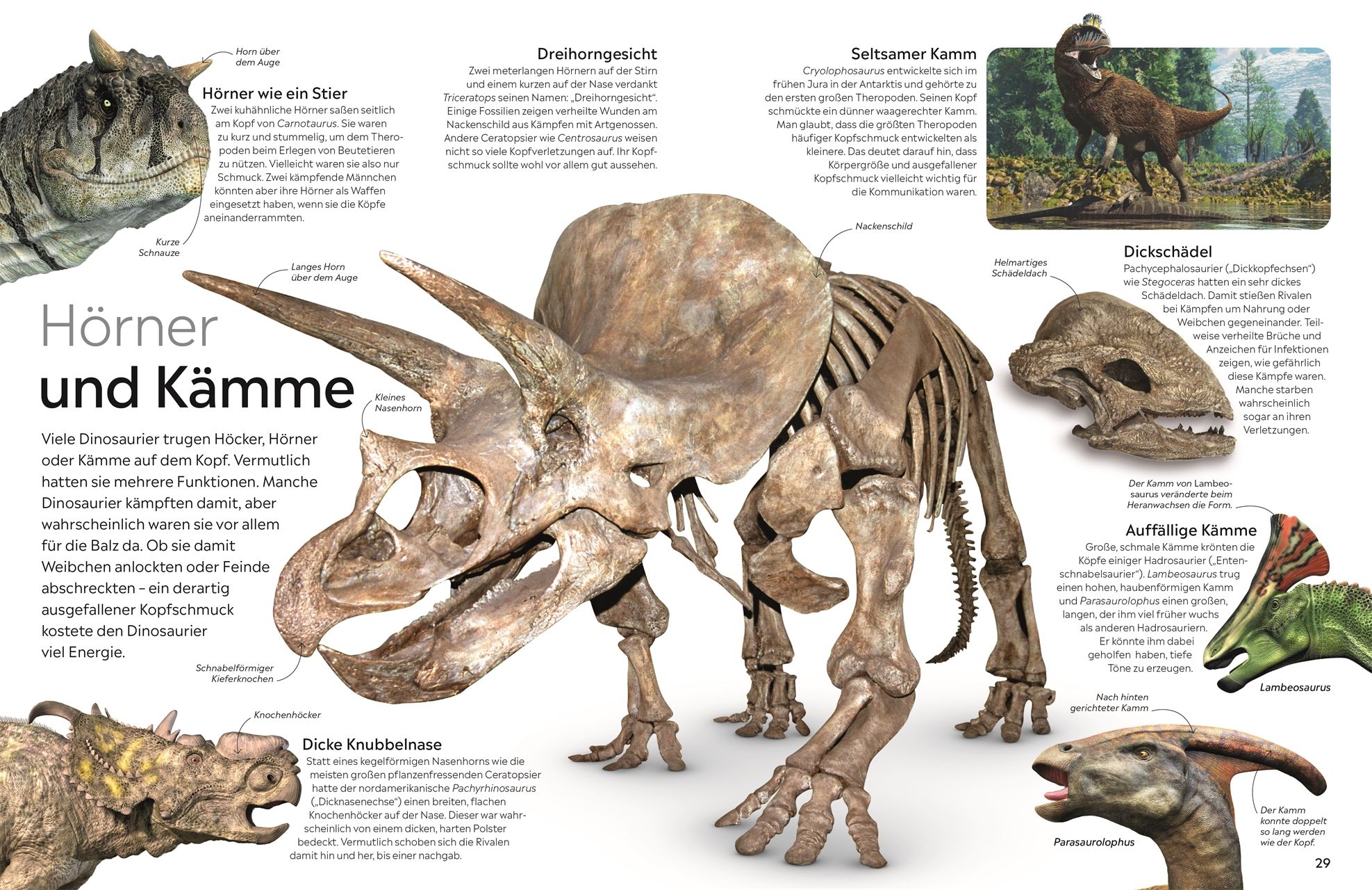 memo Wissen. Dinosaurier
