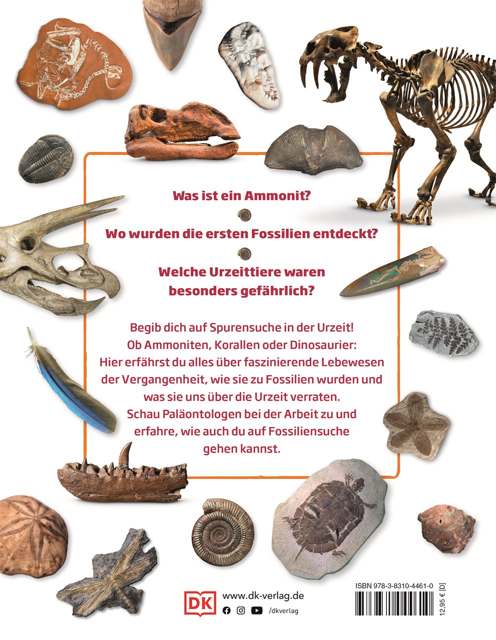 Fossilien Fossilien