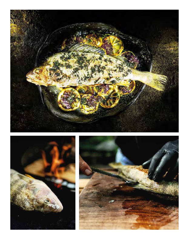 Wild gegrillt - Preisgekröntes Barbecue-Buch mit erstklassigen Grill-Rezepten Wild gegrillt - Preisgekröntes Barbecue-Buch mit erstklassigen Grill-Rezepten