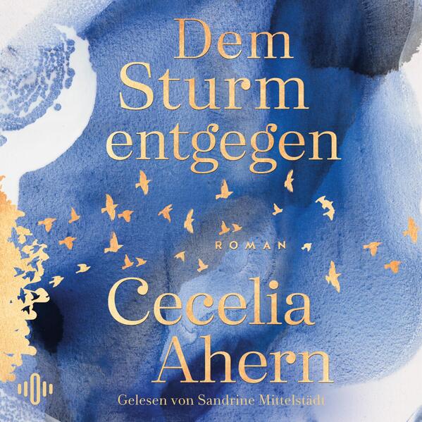 Dem Sturm entgegen (Audio-CD)