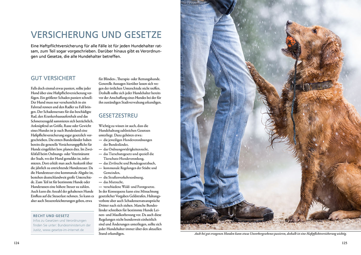 Hundeführerschein und Sachkundenachweis Hundeführerschein und Sachkundenachweis