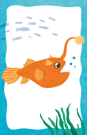 Kartenspiel: Fish you were here – Das witzige Reaktionsspiel Kartenspiel: Fish you were here – Das witzige Reaktionsspiel