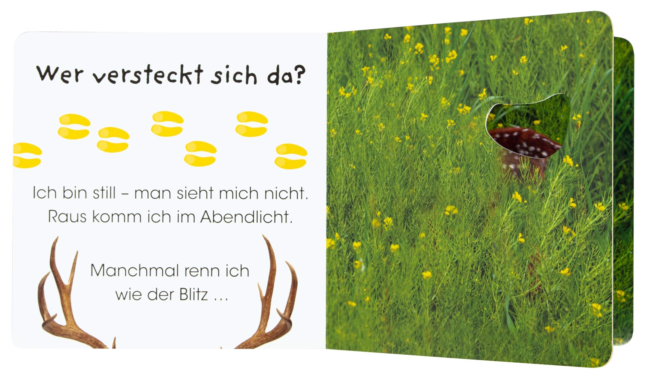 Wer versteckt sich da. Tierkinder: Ein lustiges Gucklochbuch. Pappbilderbuch mit Glitzerfolie und Gucklöchern