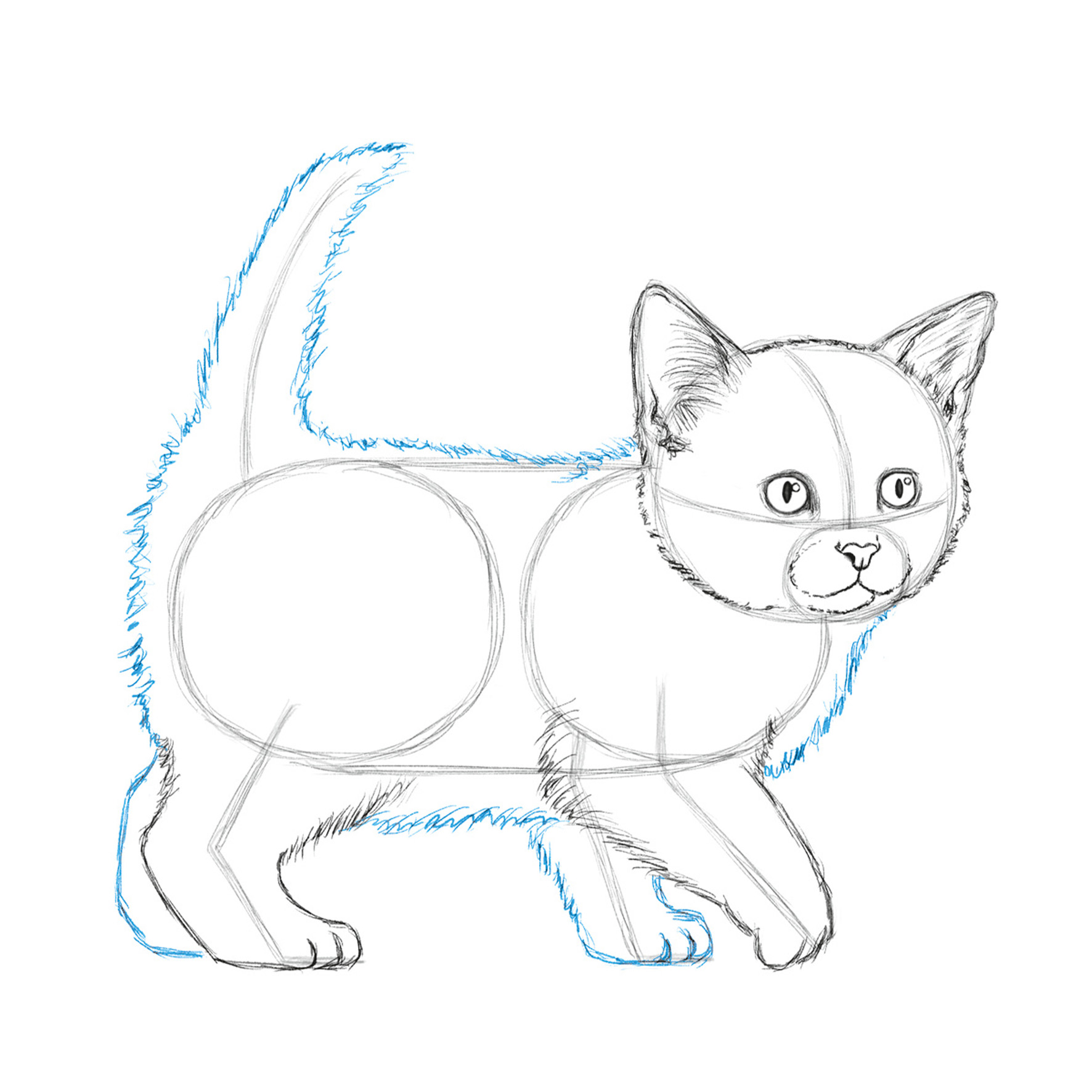 Die Kunst des Zeichnens für Kinder - Ich zeichne Katzen