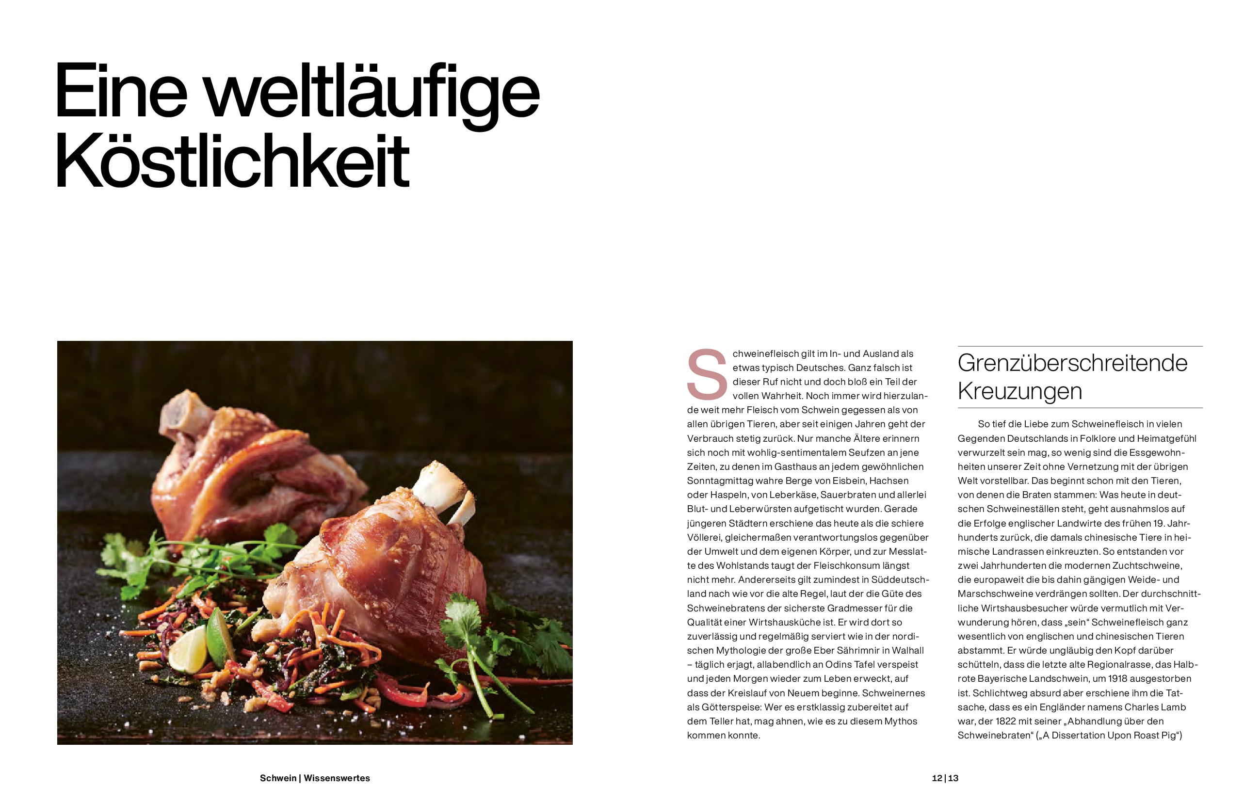 Schwein Schwein