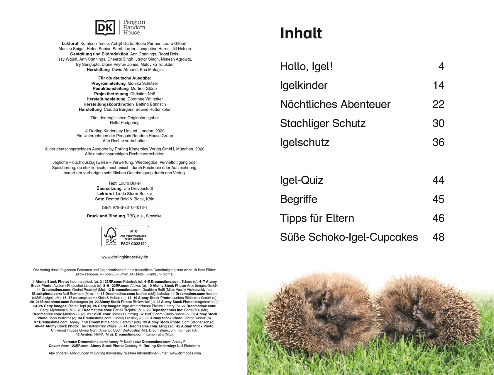 SUPERLESER! Hallo, Igel! SUPERLESER! Hallo, Igel!