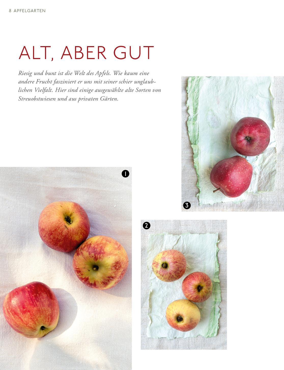 Apfelgarten