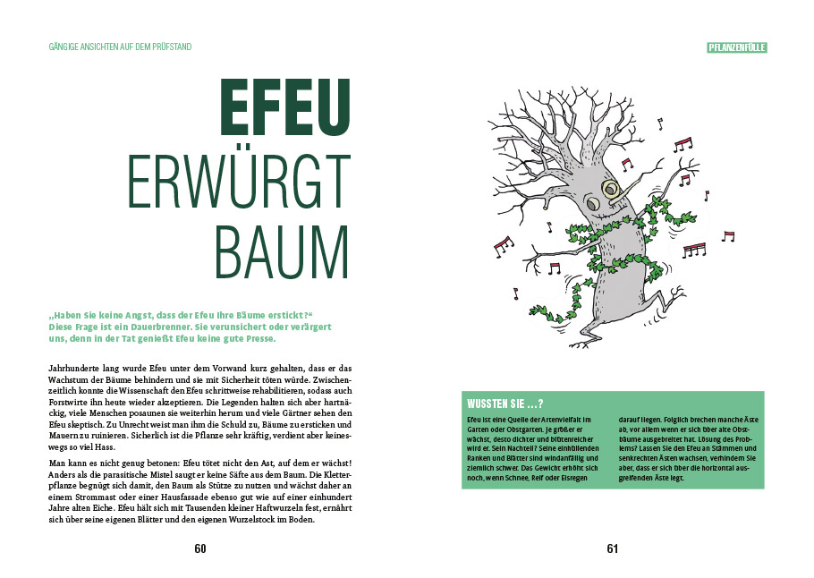 Efeu erwürgt Baum