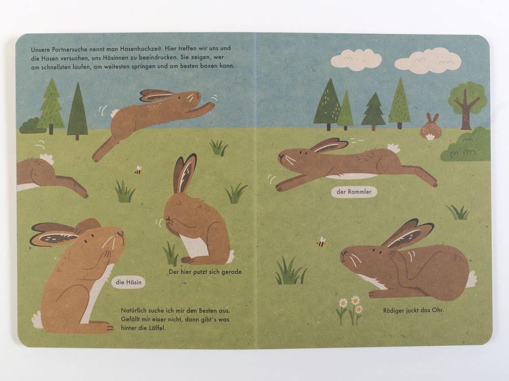 Ich bin der Hase