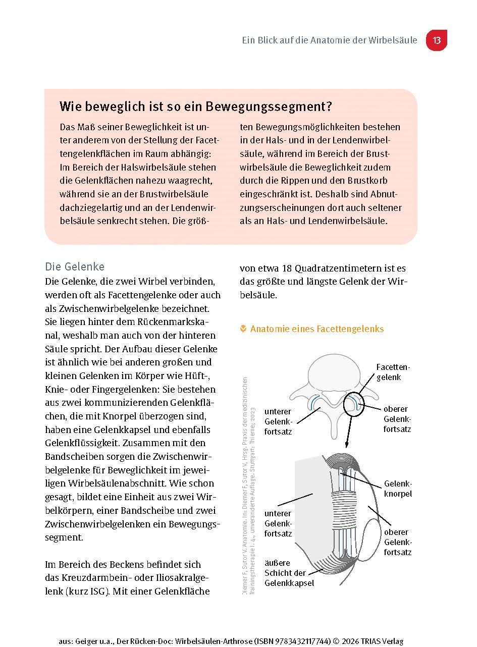 Der Rücken-Doc: Wirbelsäulen-Arthrose