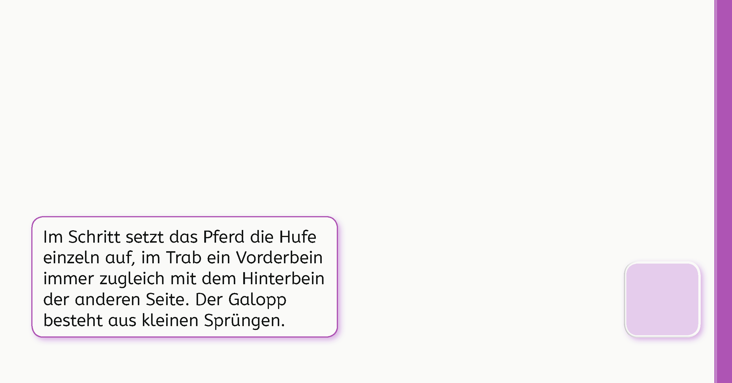 Das lustige Pferde-Quiz Das lustige Pferde-Quiz