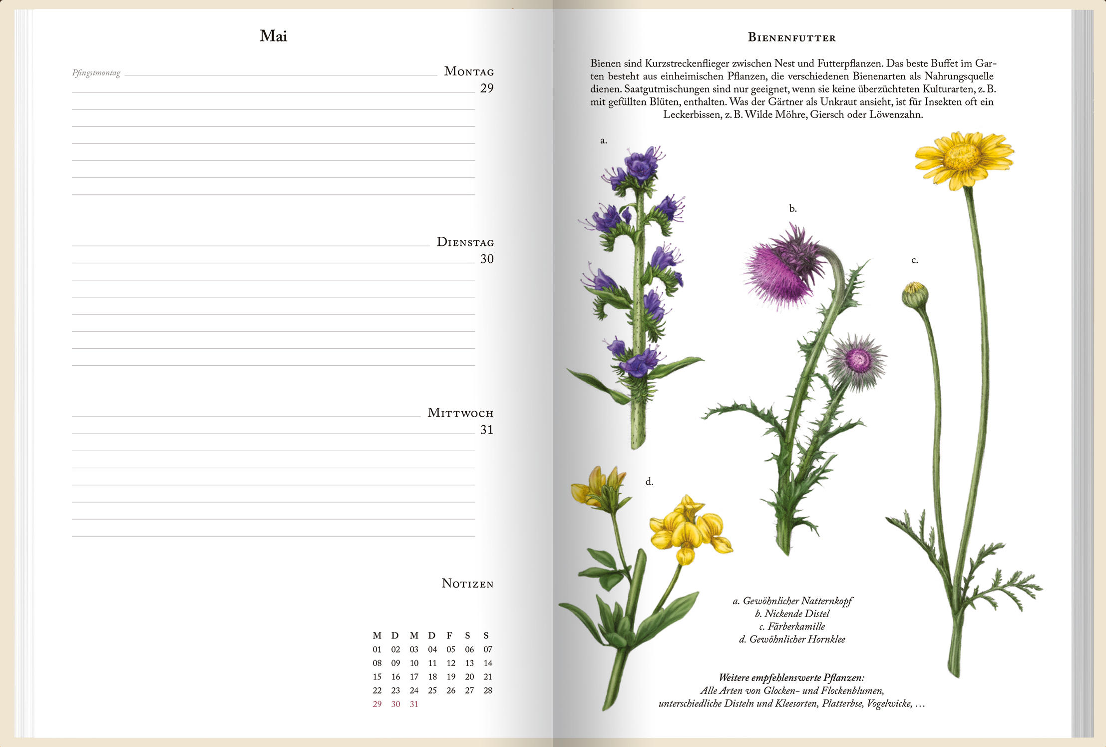 Bienenkalender 2023