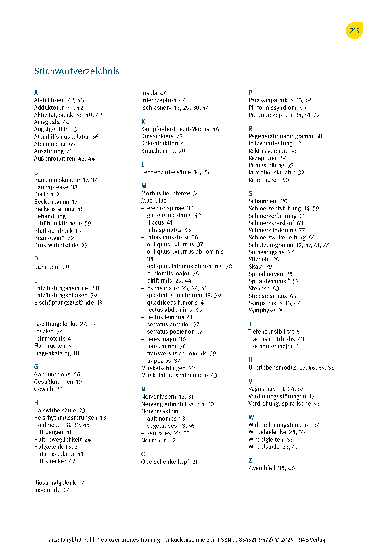 Neurozentriertes Training bei Rückenschmerzen