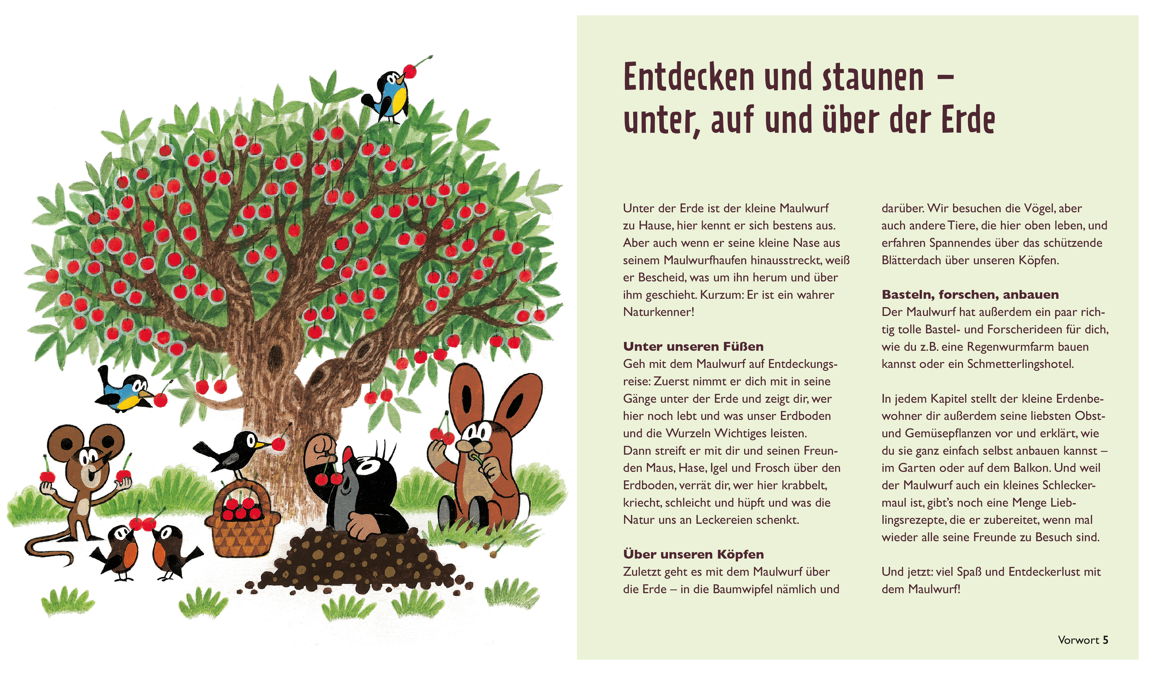 Der kleine Maulwurf: Über und unter der Erde