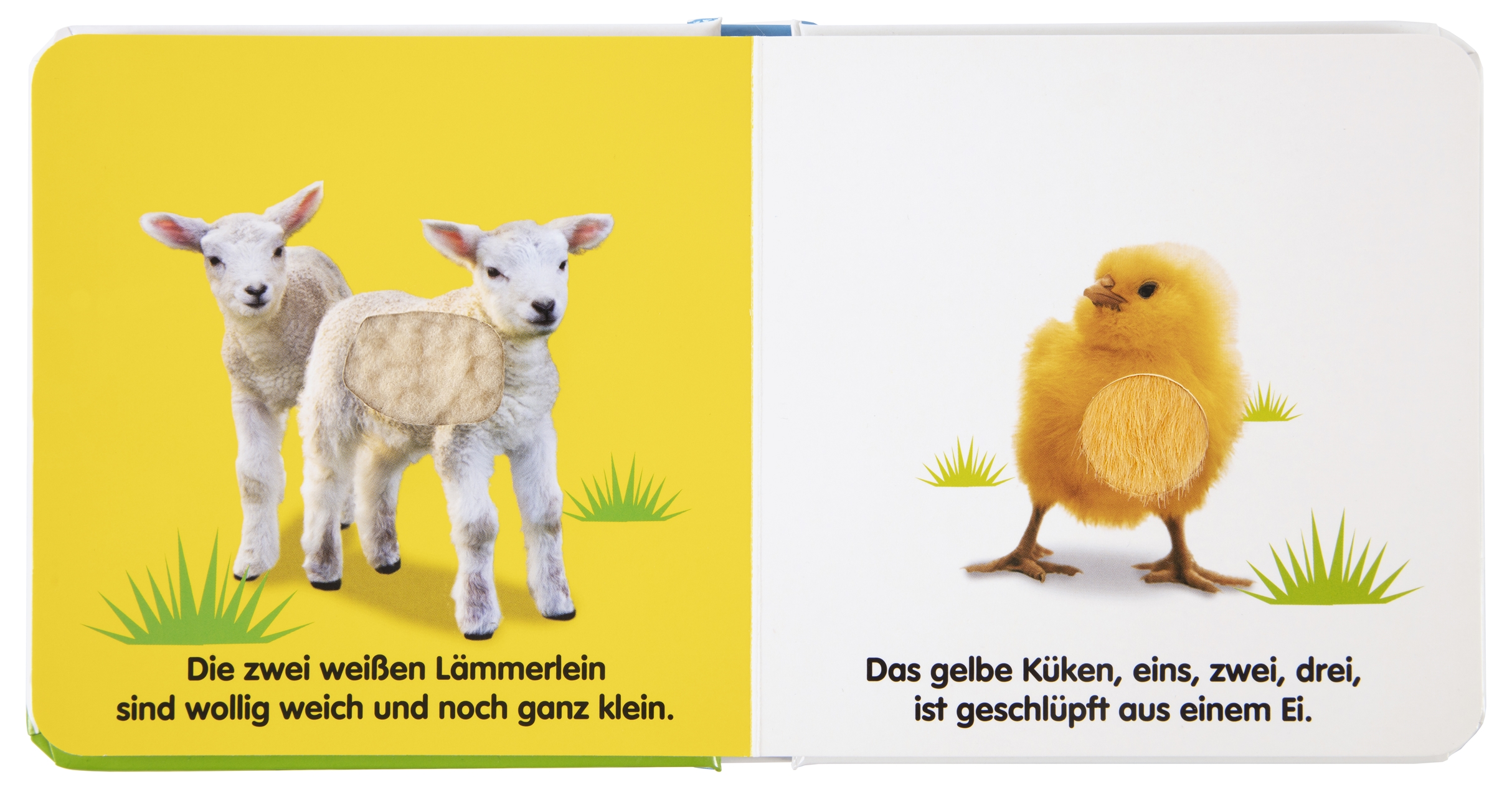 Mein Fühlbilderbuch. Tierkinder