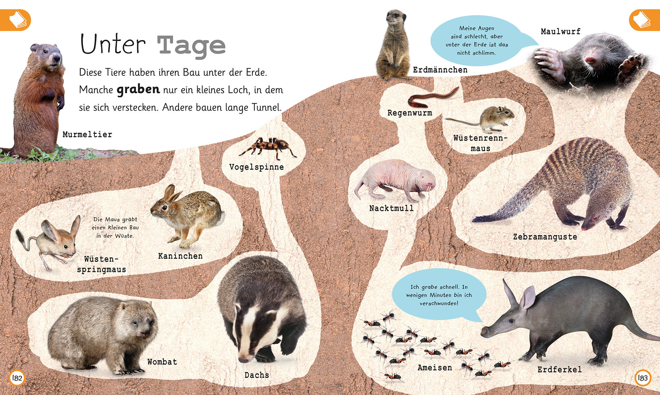 Was weißt du über Tiere?