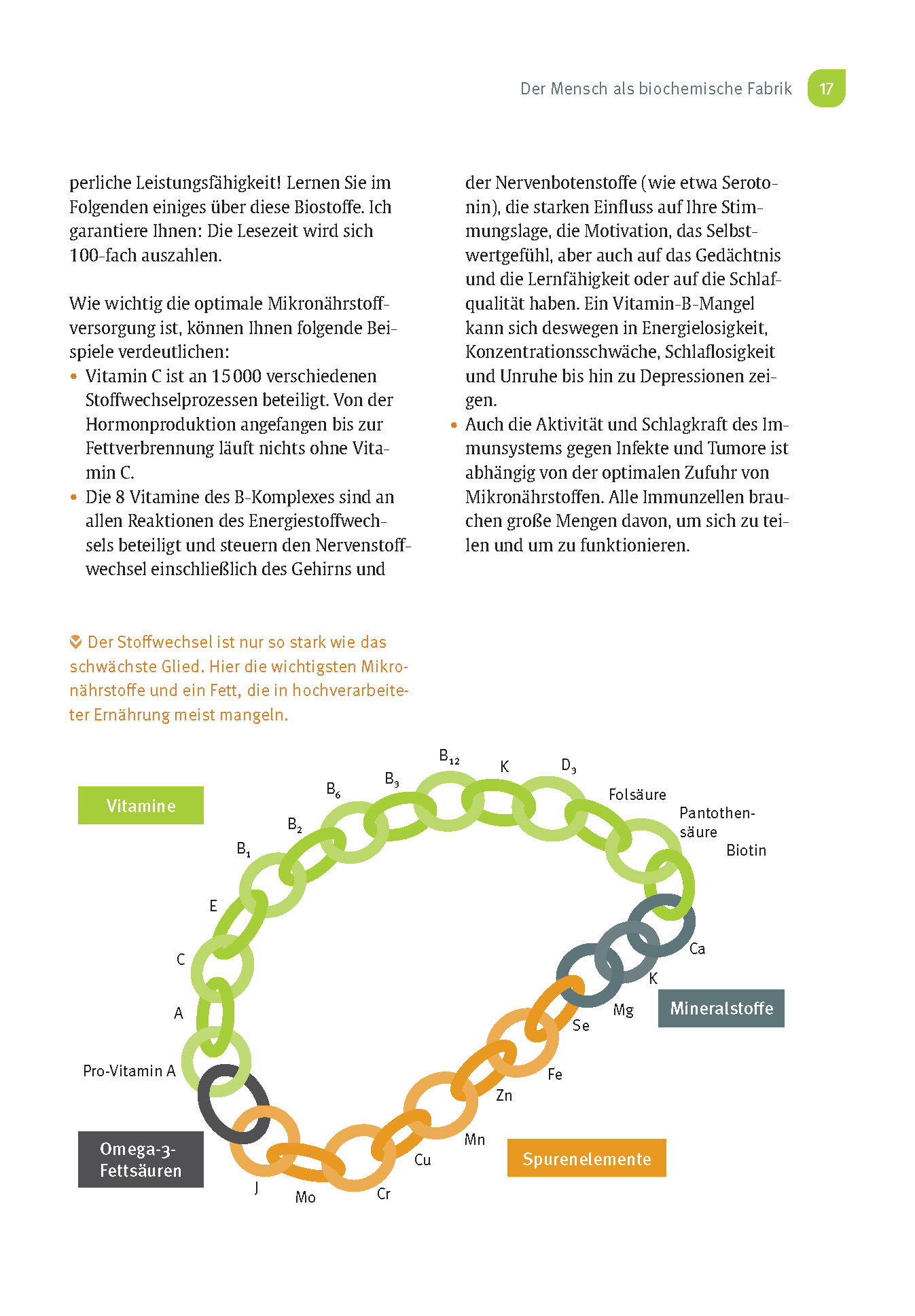 Risikofaktor Vitaminmangel