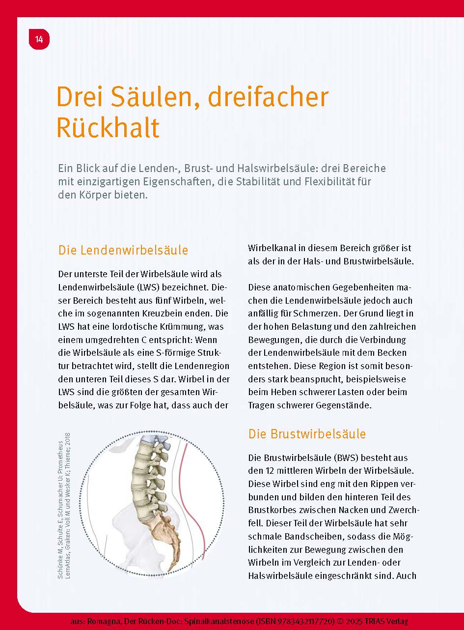 Der Rücken-Doc: Spinalkanalstenose