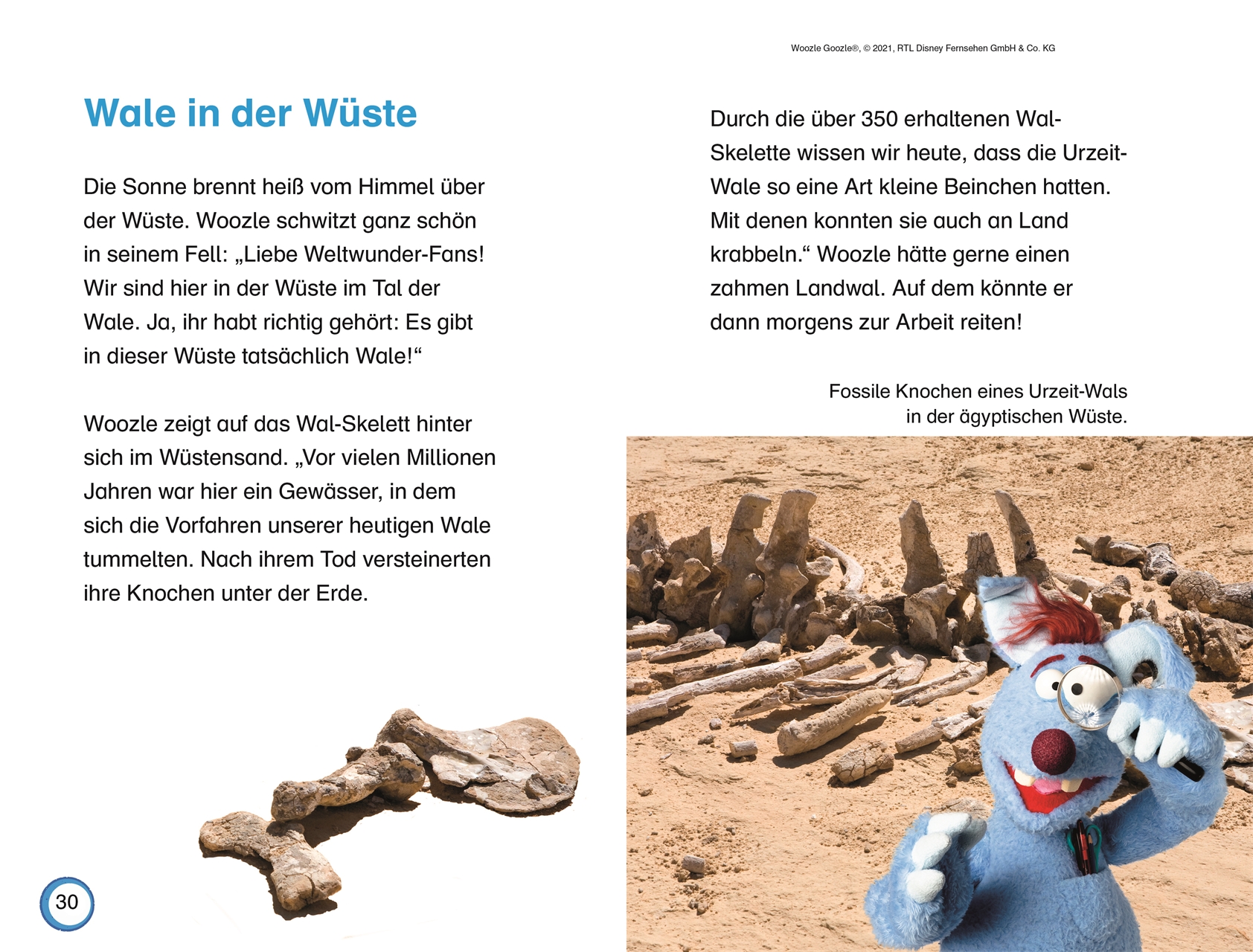 SUPERLESER! Woozle Goozle Wunder der Welt