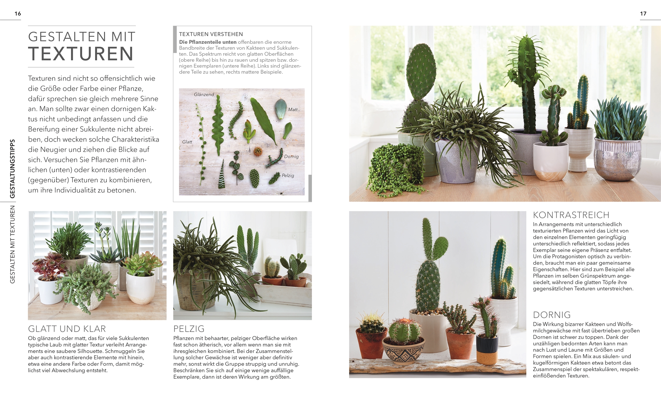 Alles über Kakteen und andere Sukkulenten