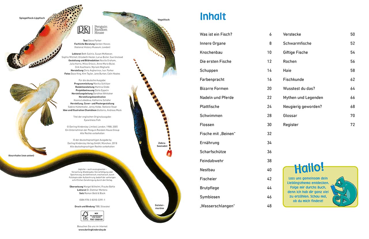 memo Wissen entdecken. Fische