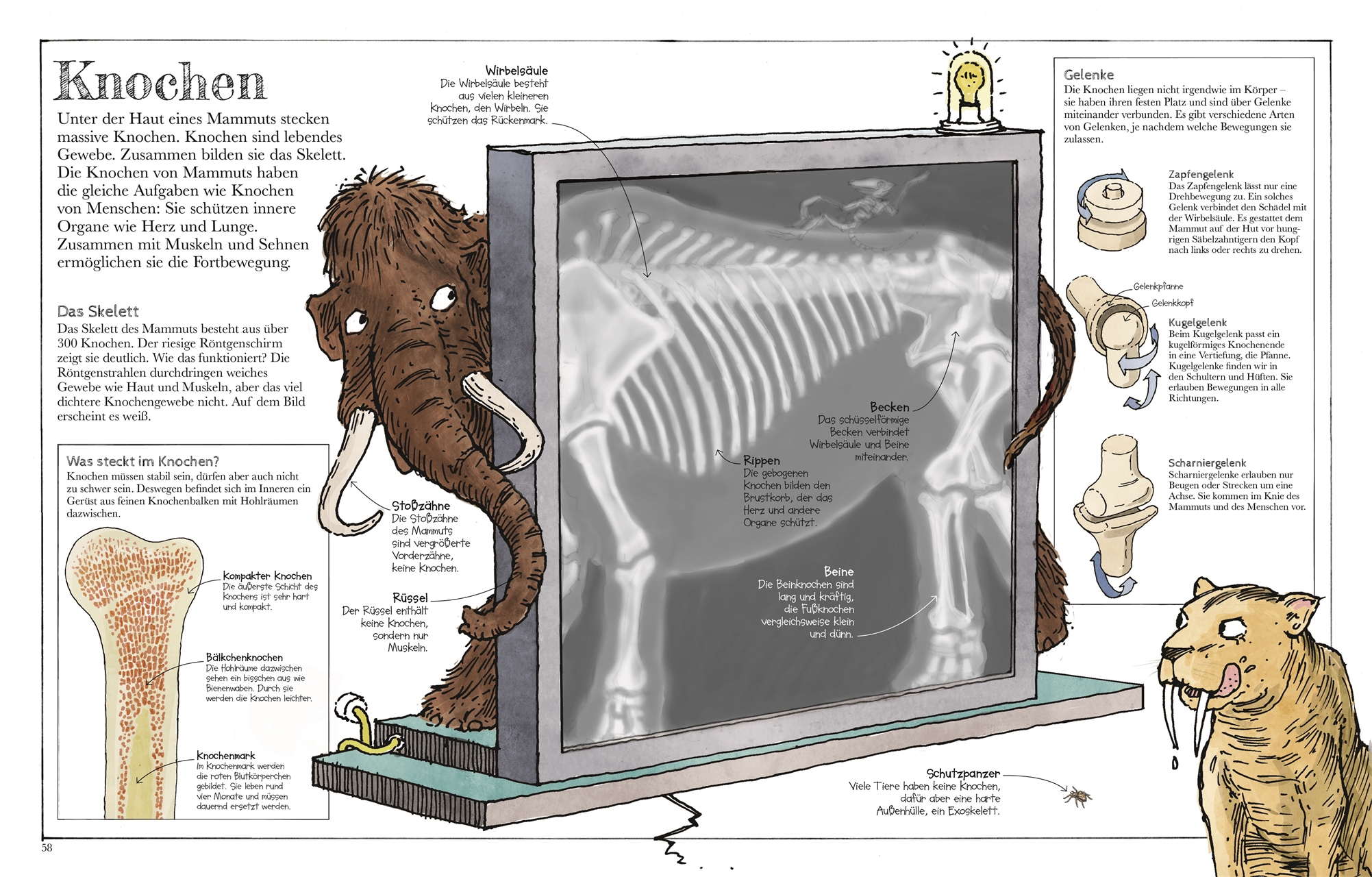 Das Mammut-Buch Naturwissenschaften