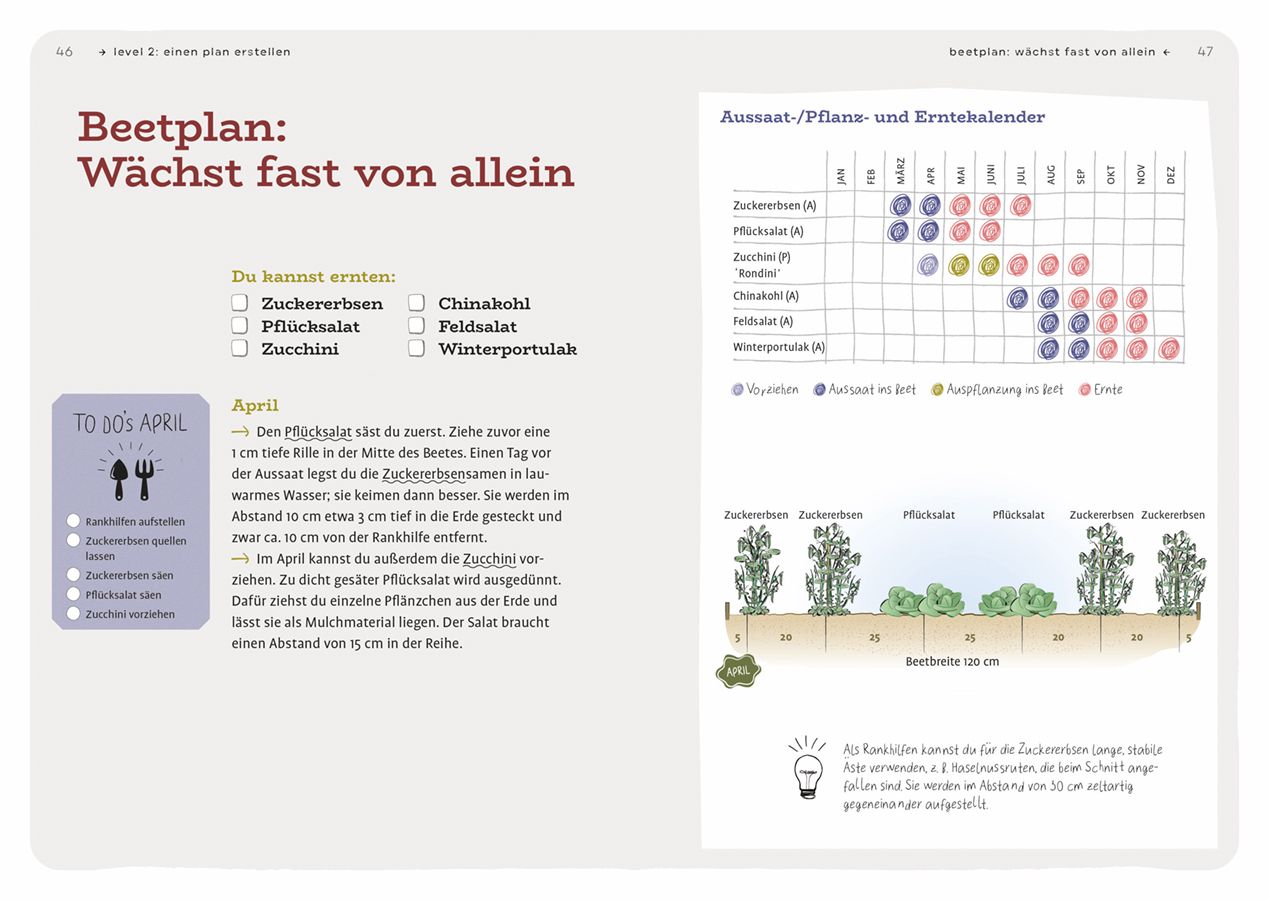 Dein Projekt. Dein Guide. Gärtnern mit Mischkultur