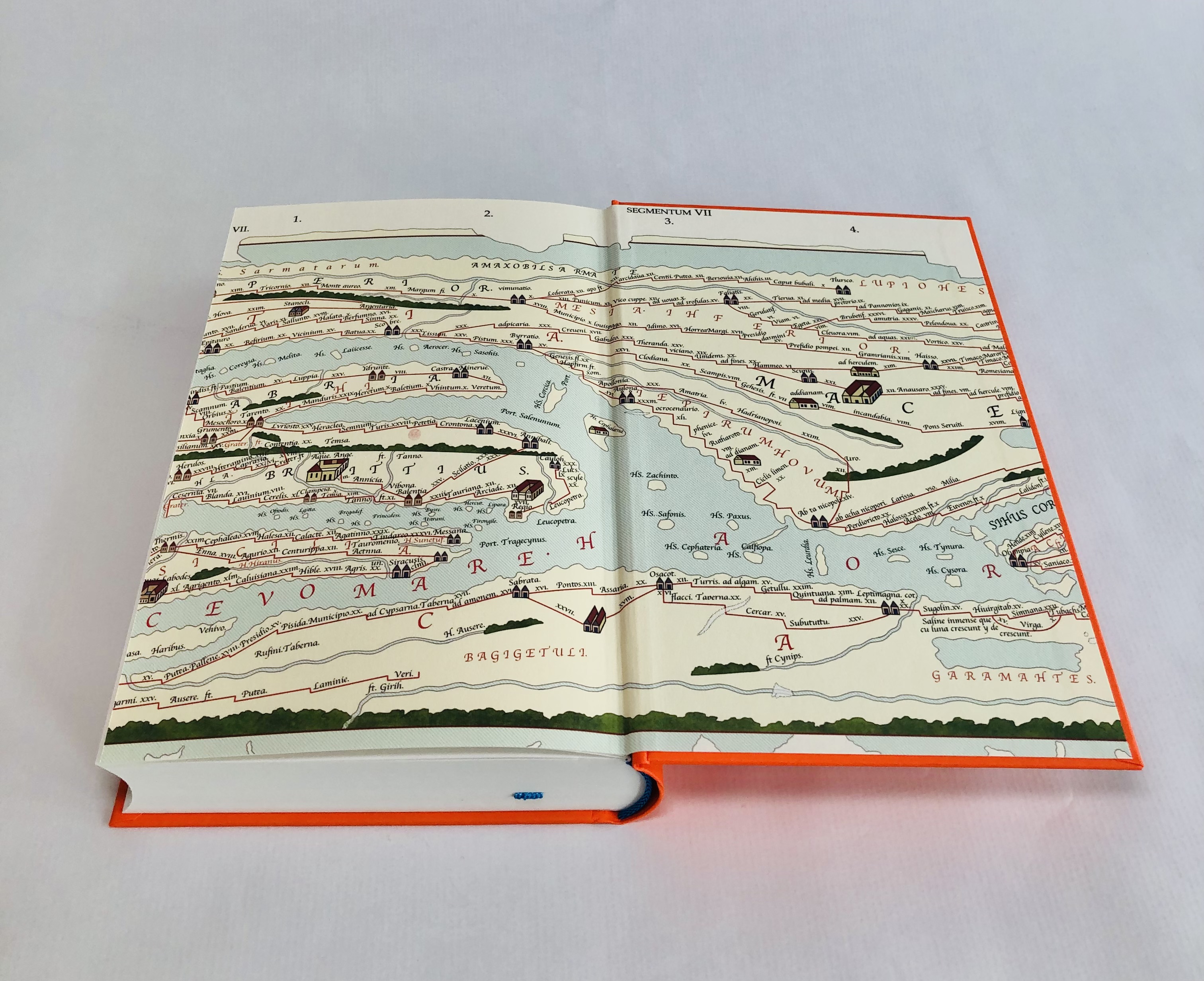 Die Bücherjägerin
