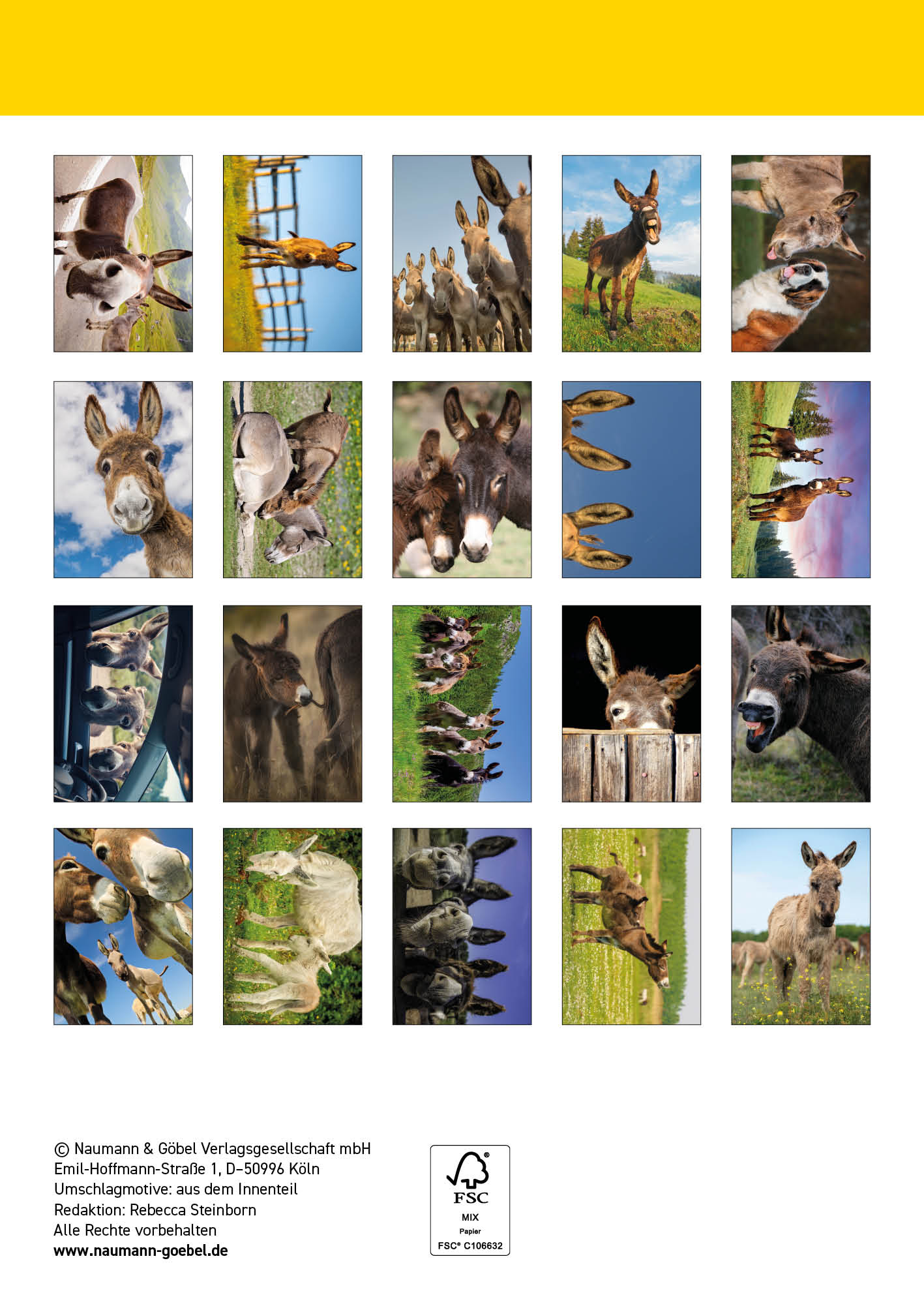 Postkartenblock Esel