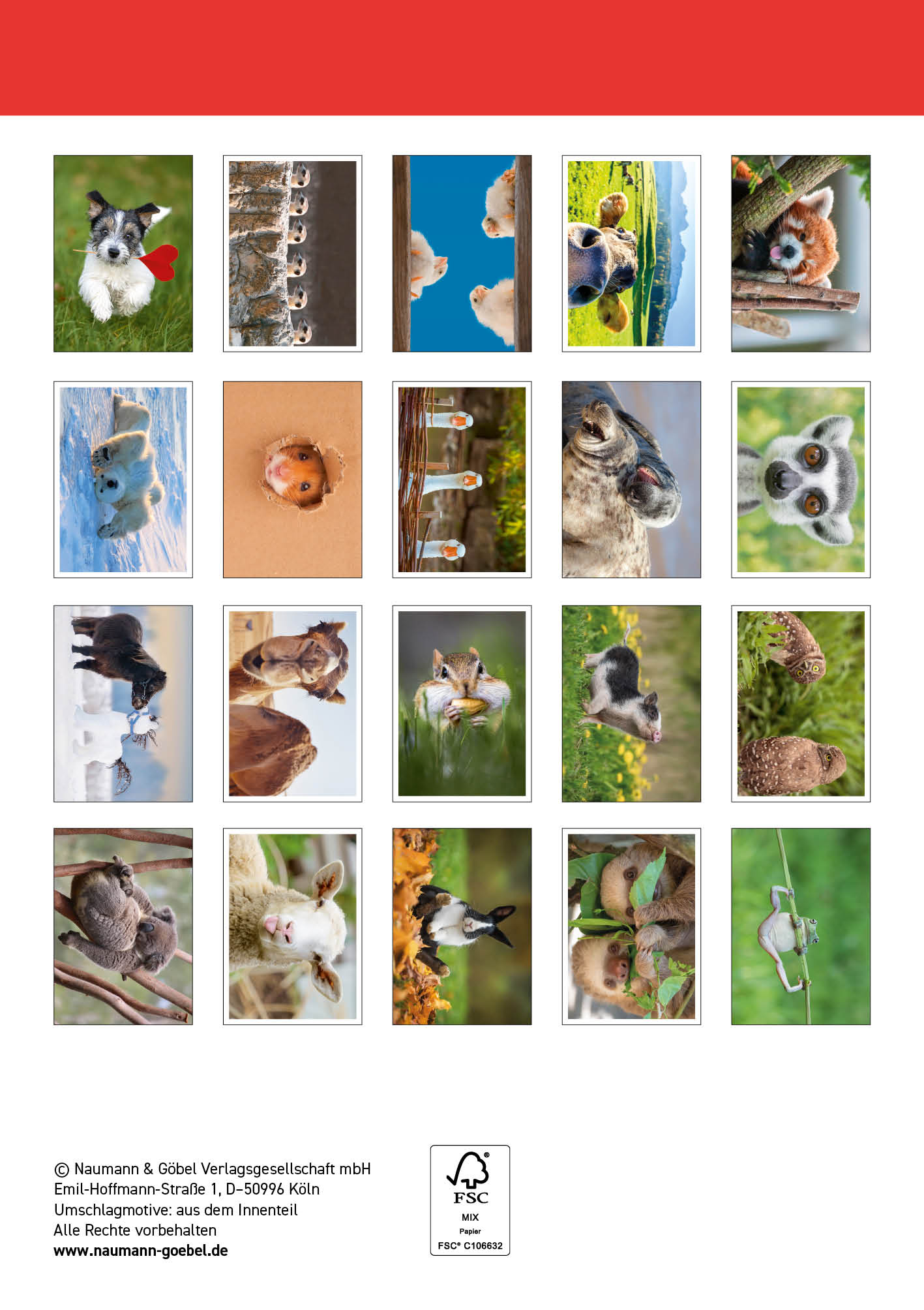 Postkartenblock Lustige Tiere