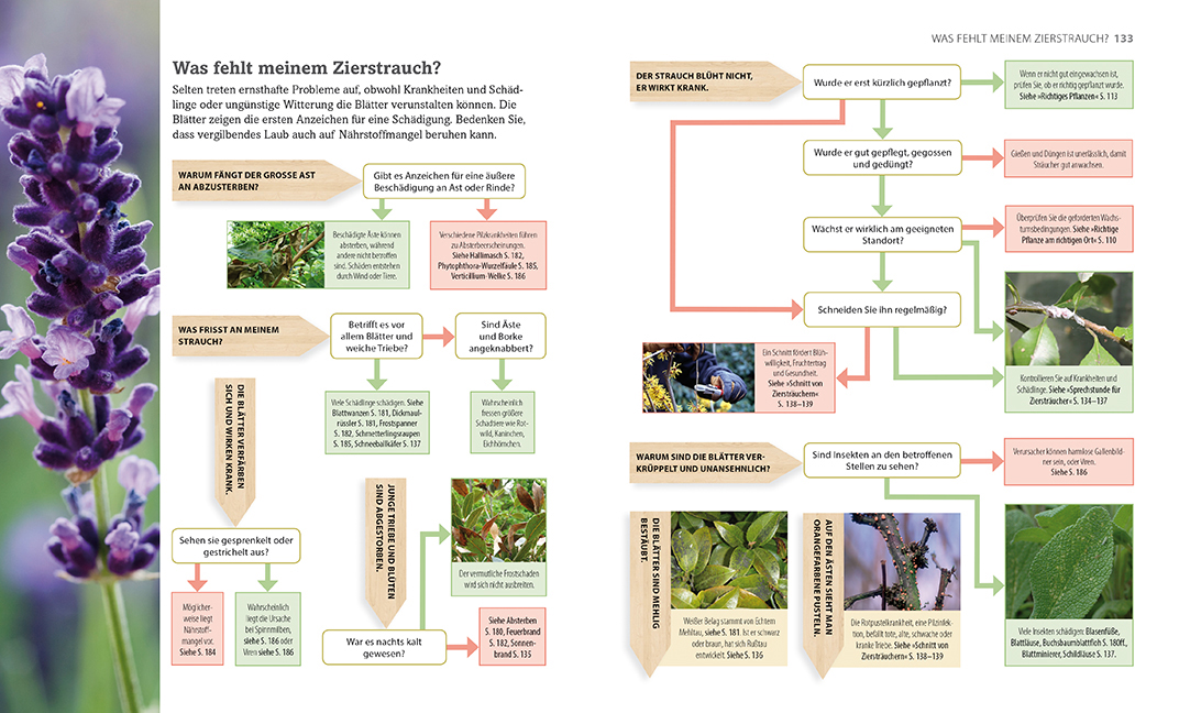 Erste Hilfe für Gartenpflanzen