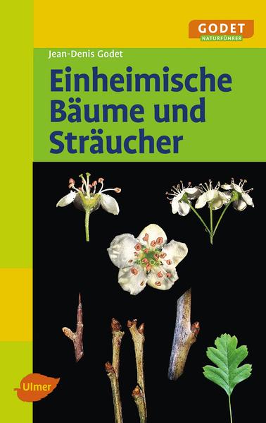 Einheimische Bäume und Sträucher