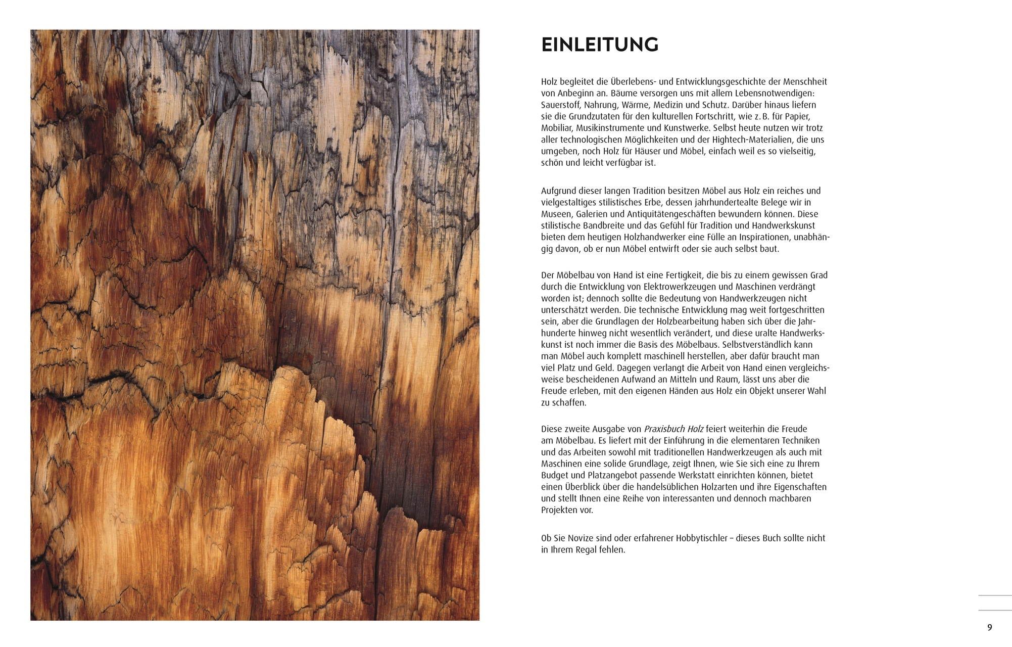 Praxisbuch Holz