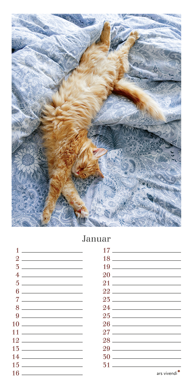Geburtstagskalender Katzen