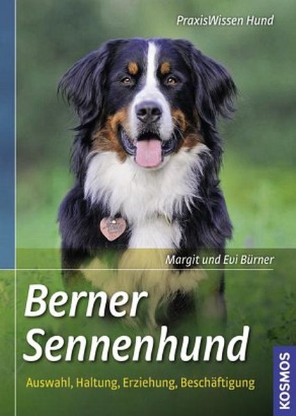 Berner Sennenhund Berner Sennenhund