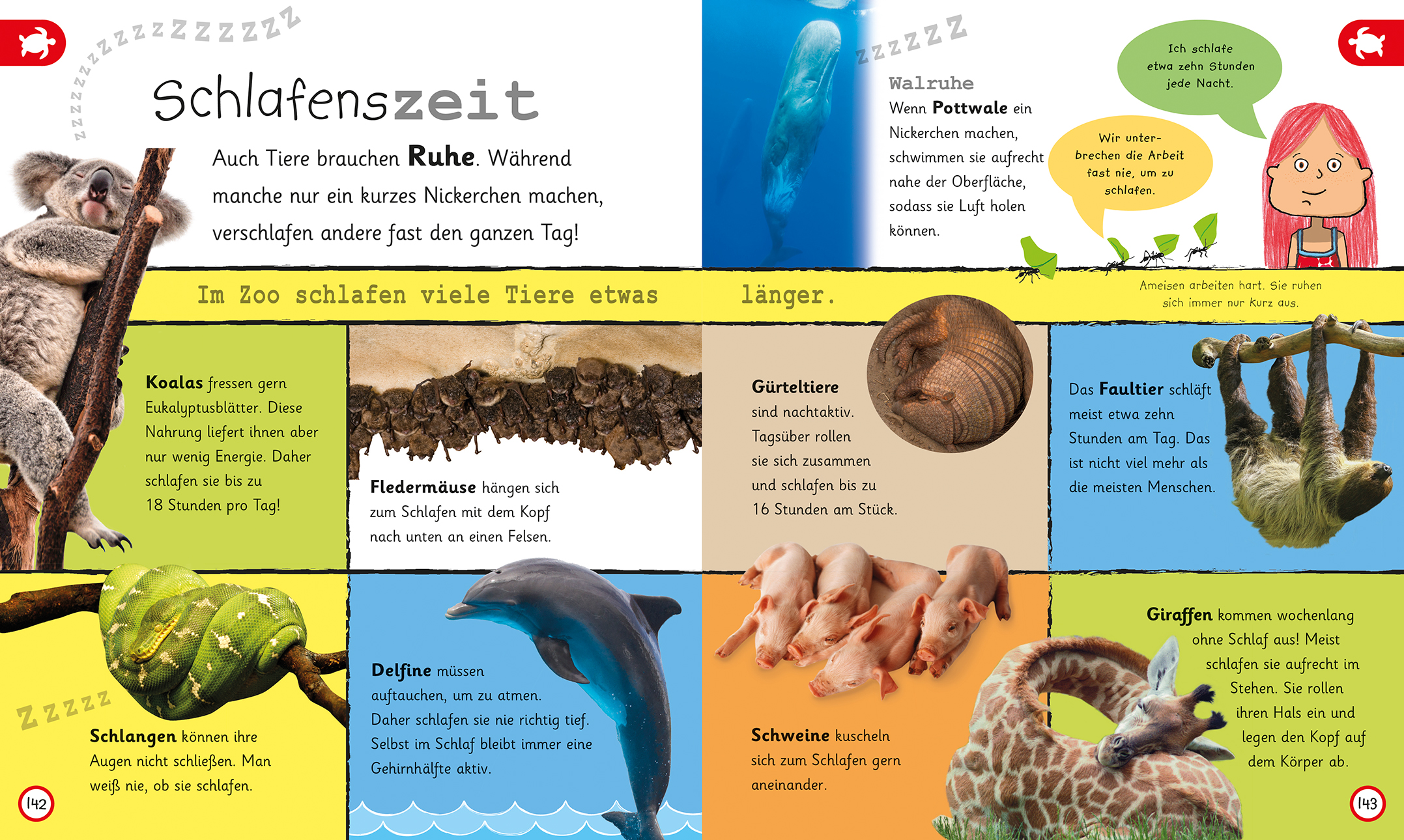 Was weißt du über Tiere?