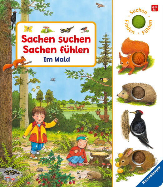 Sachen suchen, Sachen fühlen: Im Wald