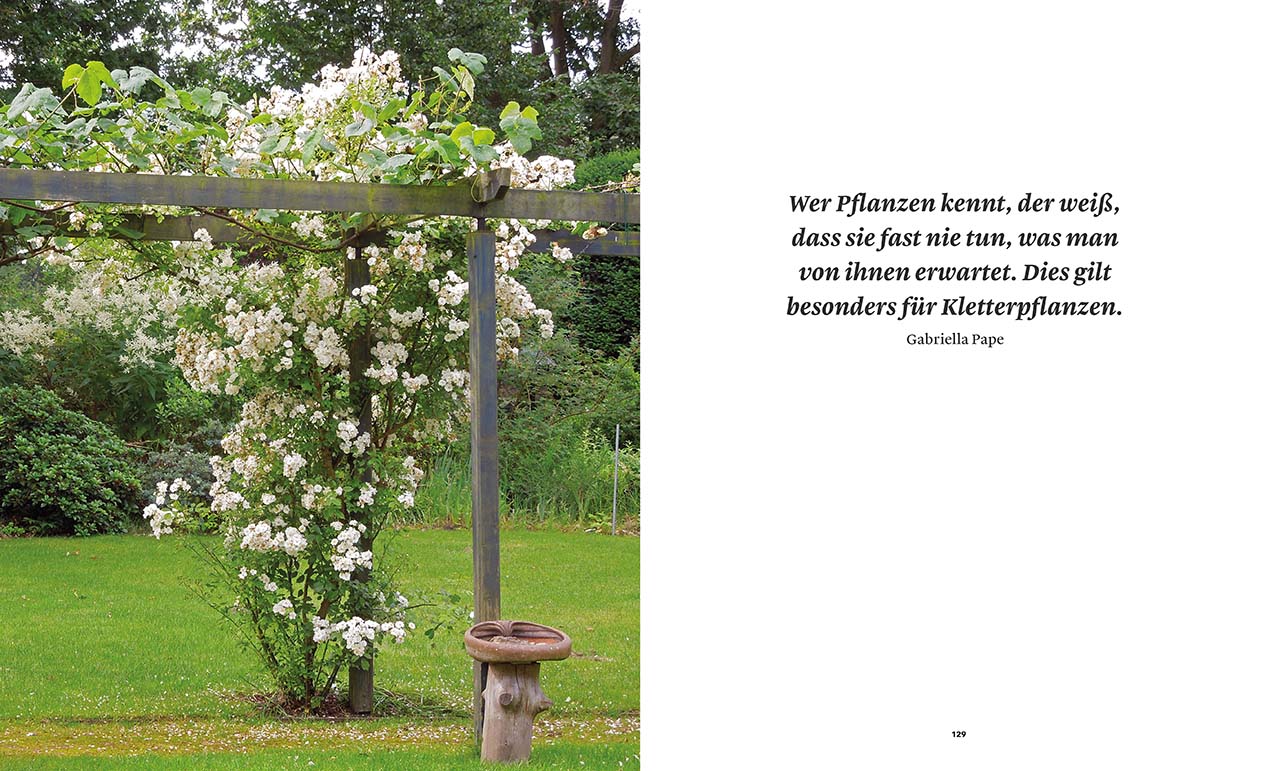 Gartenträume Gartenträume
