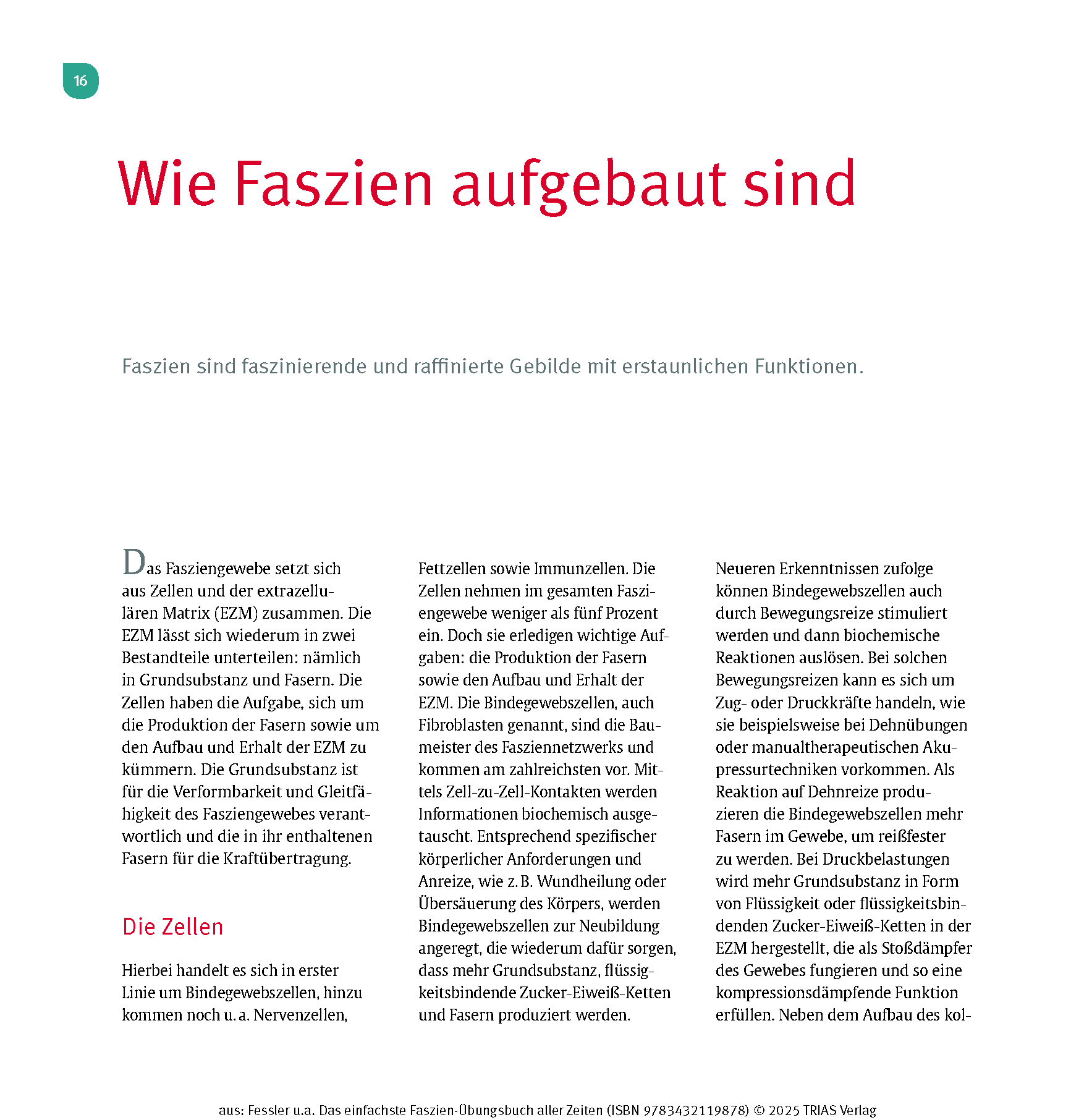 Das einfachste Faszien-Übungsbuch aller Zeiten