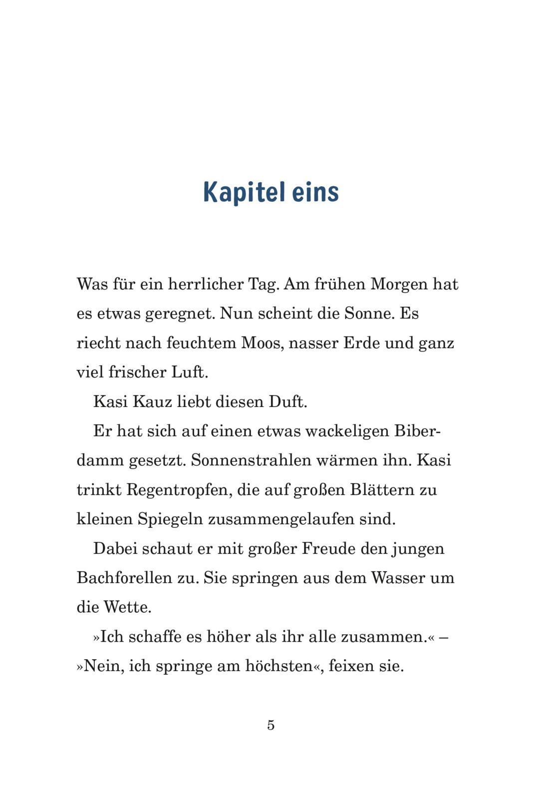 Kasi Kauz und der Radau am Biberbau (Kasi Kauz 2)