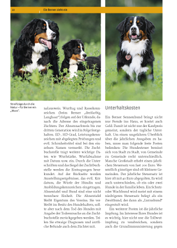 Berner Sennenhund Berner Sennenhund