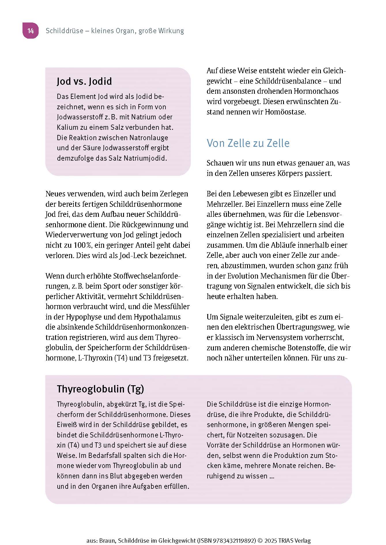 Schilddrüse im Gleichgewicht
