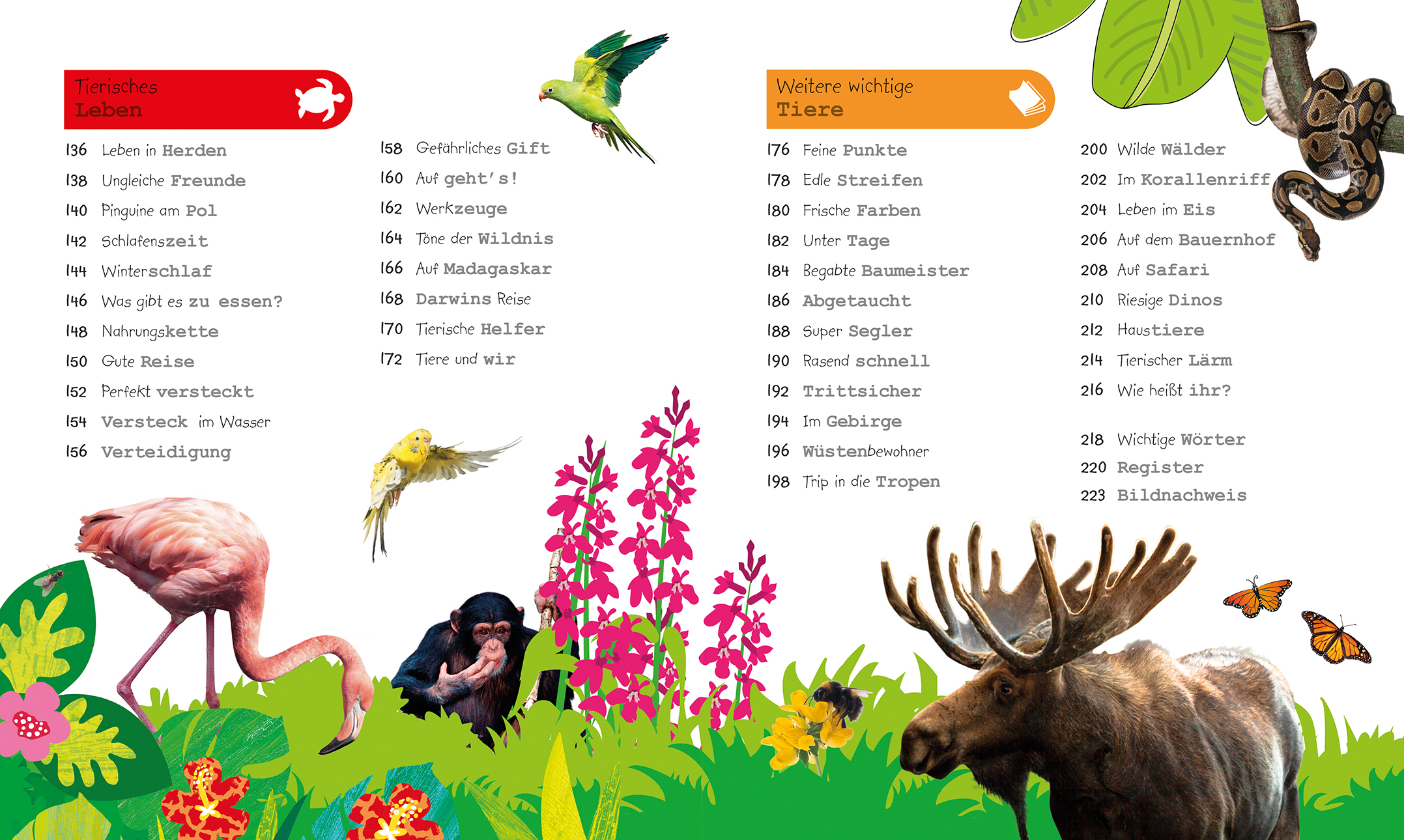 Was weißt du über Tiere?