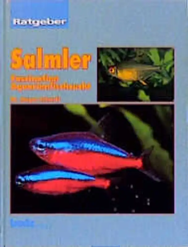 Salmler, Ratgeber