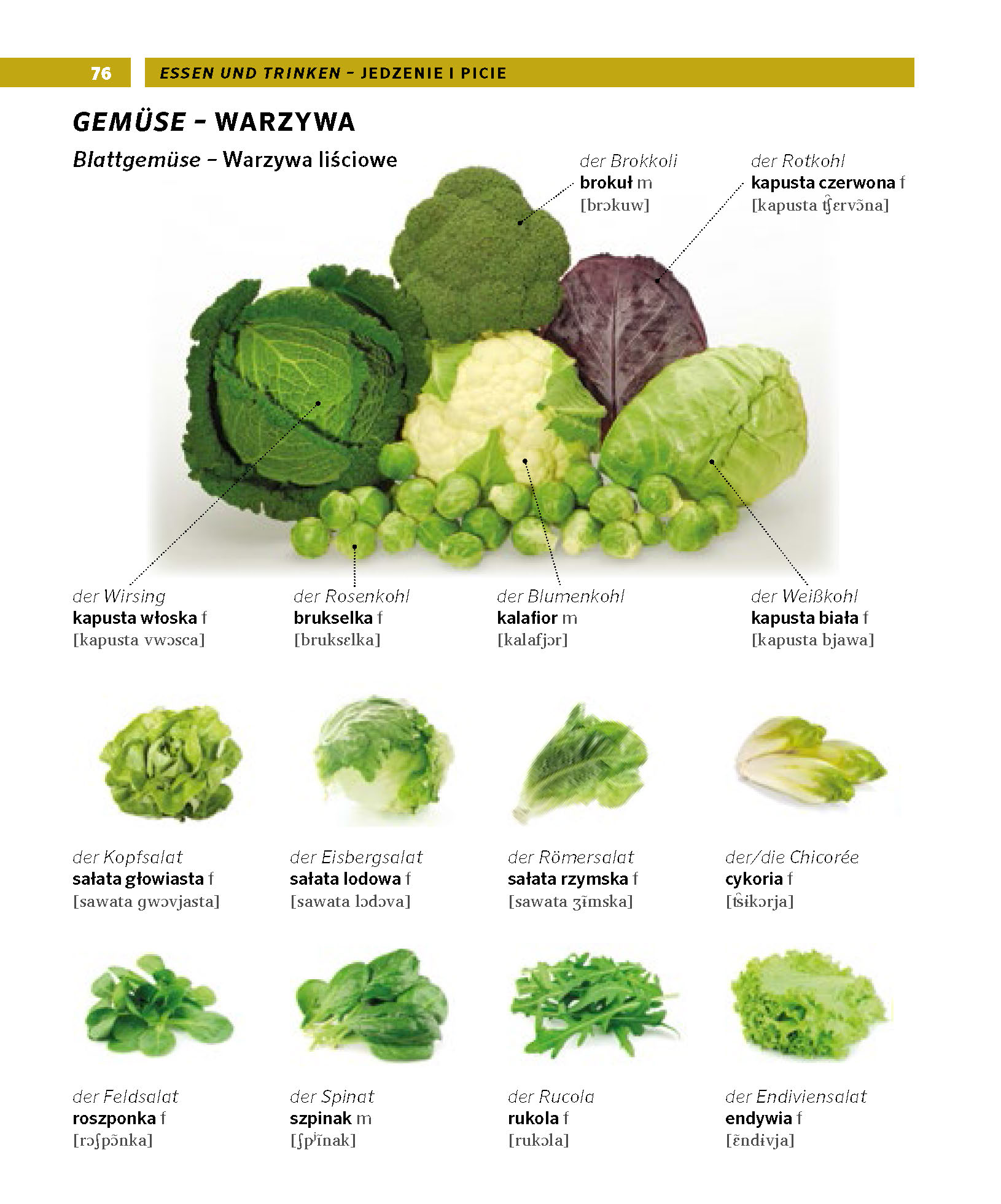 PONS Bildwörterbuch Polnisch