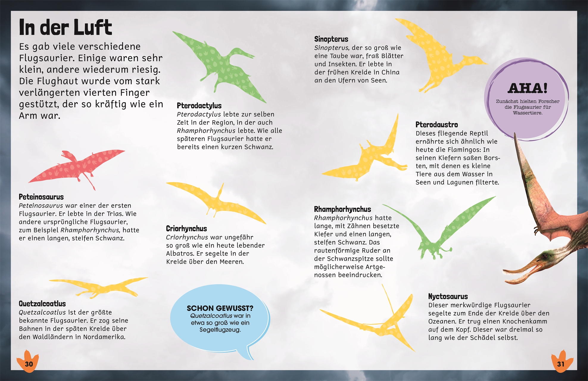 Sticker-Lexikon. Dinosaurier