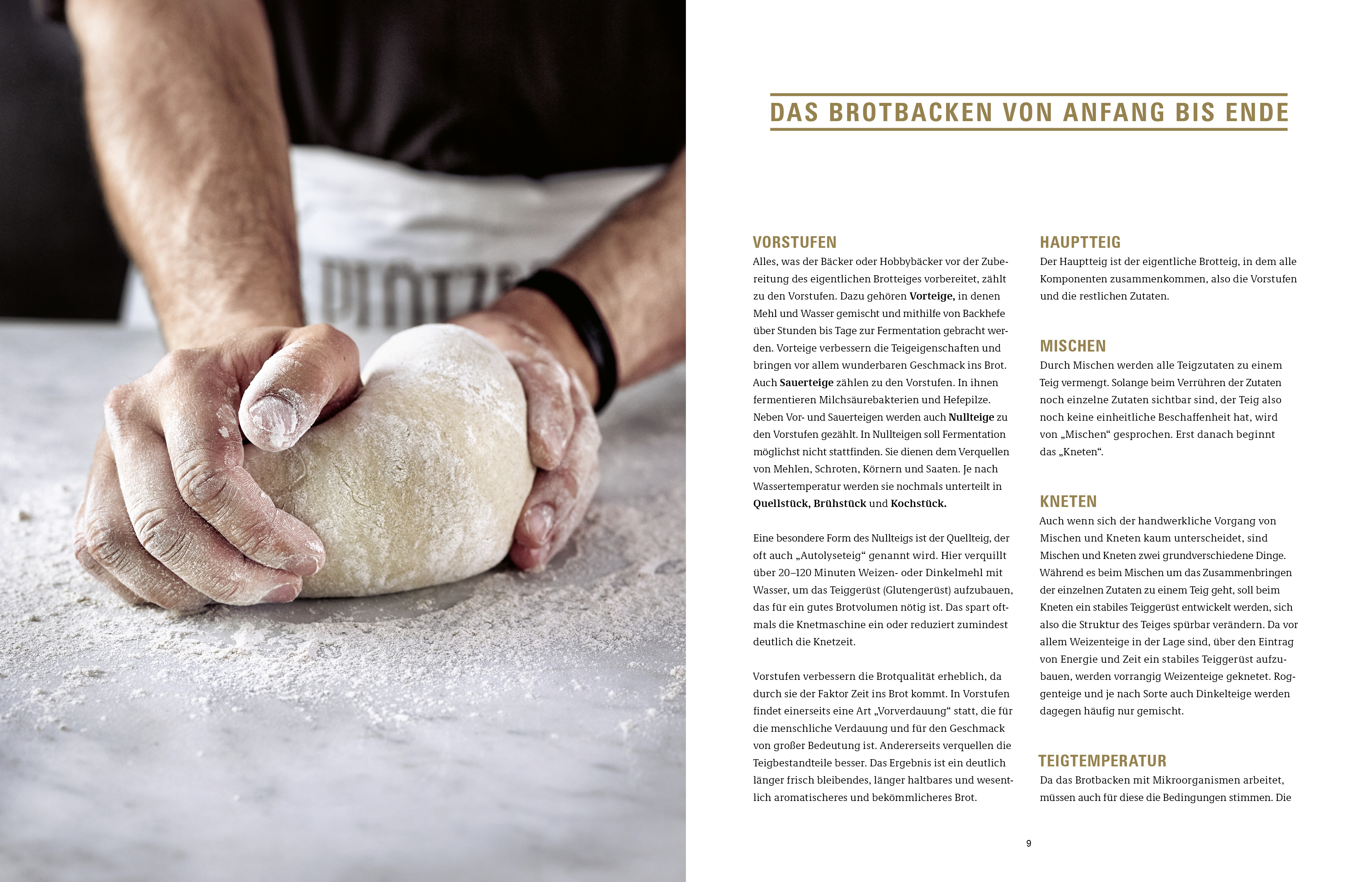 Krume und Kruste – Brot backen in Perfektion