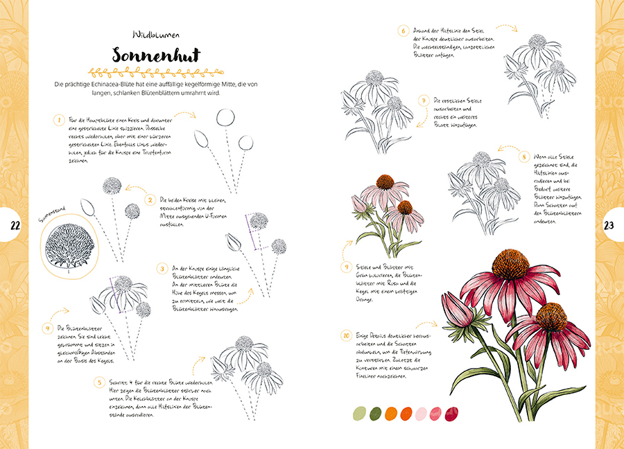 Die Kunst des Zeichnens 10 Steps - Pflanzen