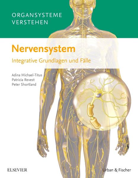 Organsysteme verstehen: Nervensystem